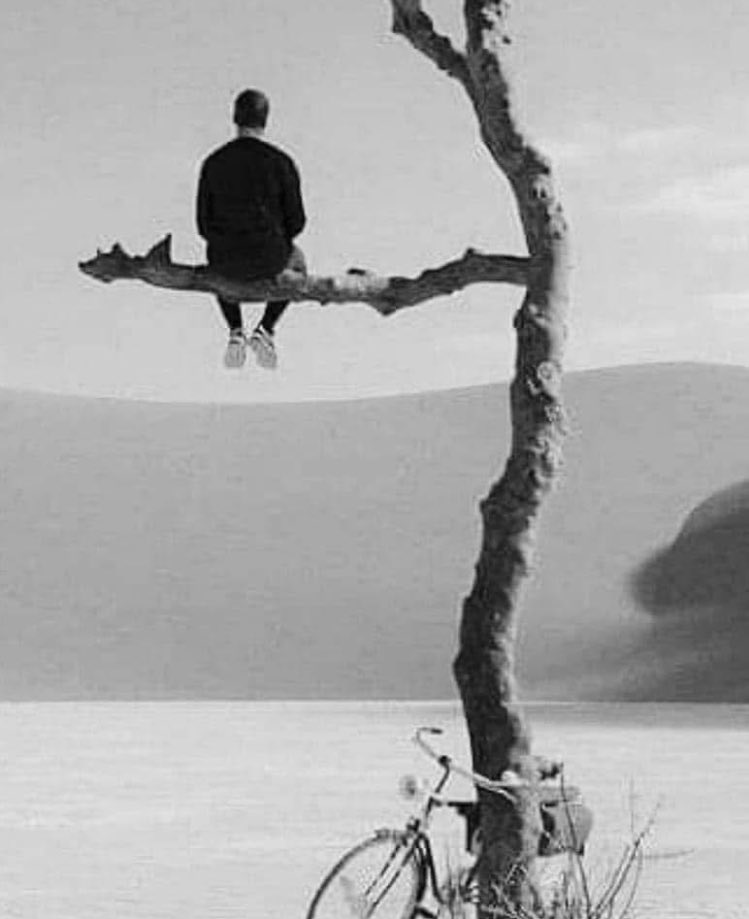 Tamam, ölmek için doğuyoruz da… 
Yanlış giden bir şeyler var! 
Neden yaşamadan, ölüyoruz...! 
#TelAviv 
#IranWar 
#Khamenei 
#fatmanurcelik