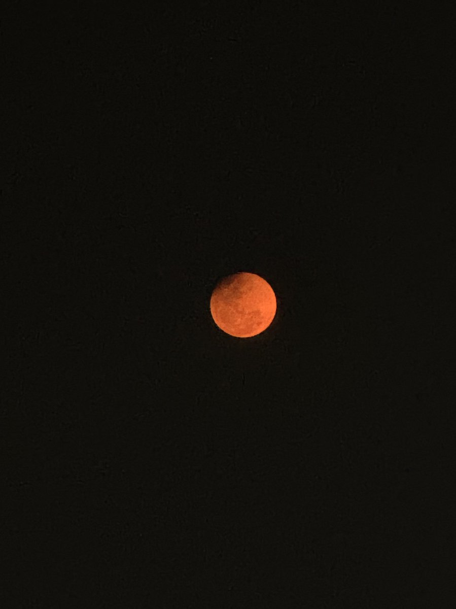 dabaraset's tweet photo. azhag max. her highness during eclipse. https://t.co/THWe6enDyr