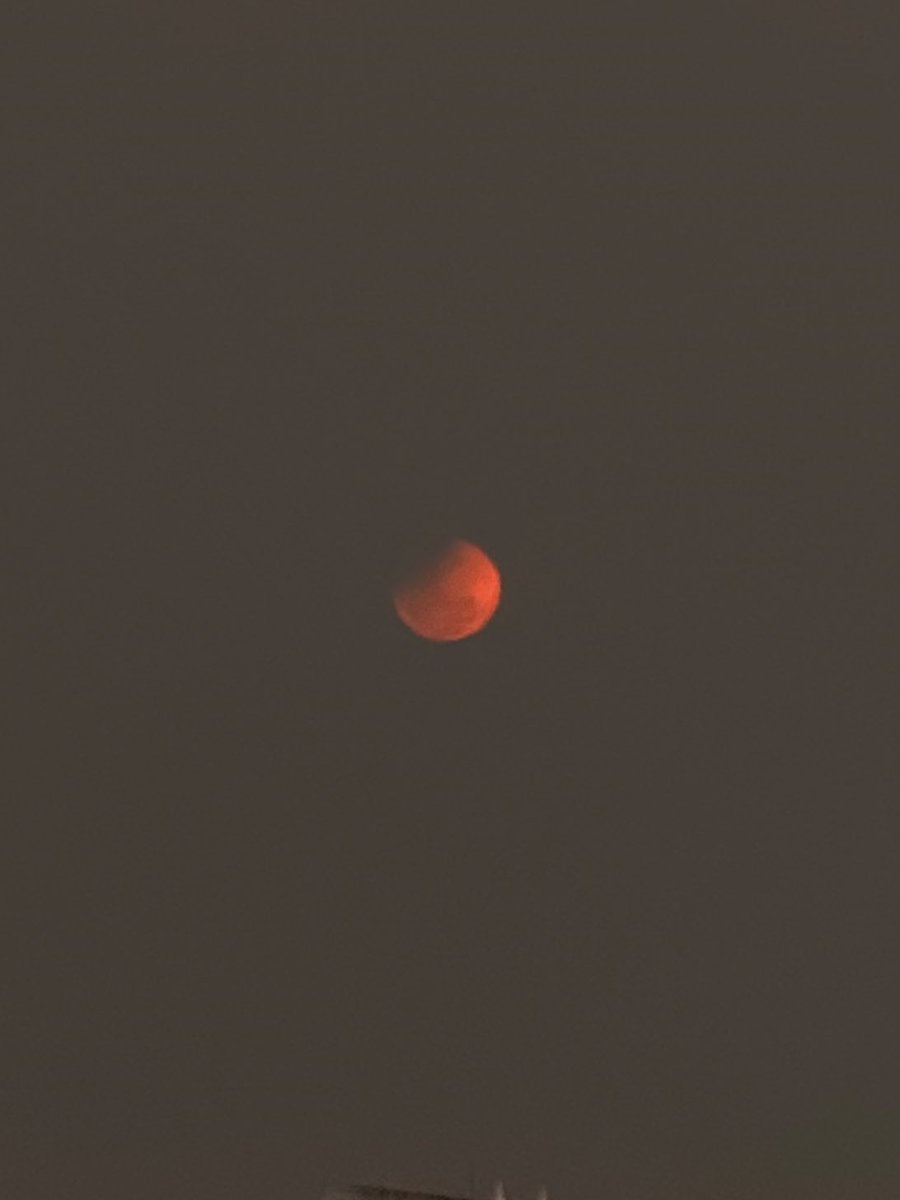 dabaraset's tweet photo. azhag max. her highness during eclipse. https://t.co/THWe6enDyr