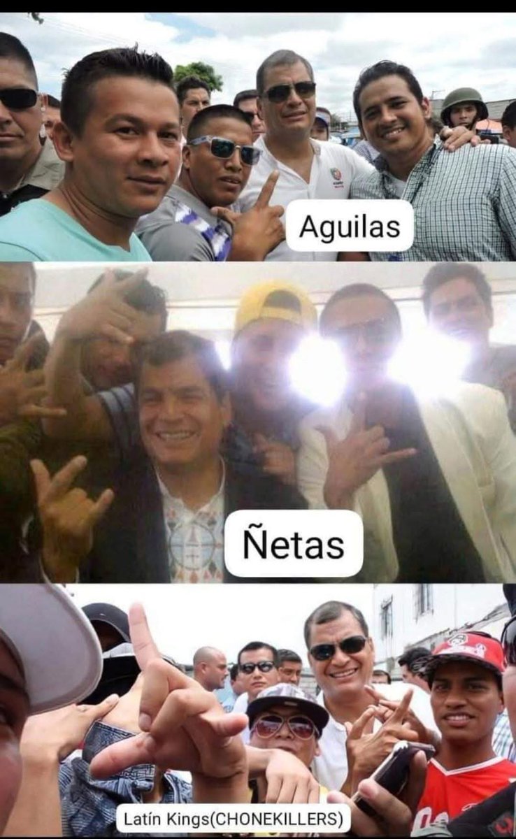 agparedesmora's tweet photo. @leonida42868140 @MashiRafael @DanielNoboaOk Y que dices vos de los GDO que tienen redes de prostitución impulsada por la Rc5 mudo https://t.co/srHB15VAg8