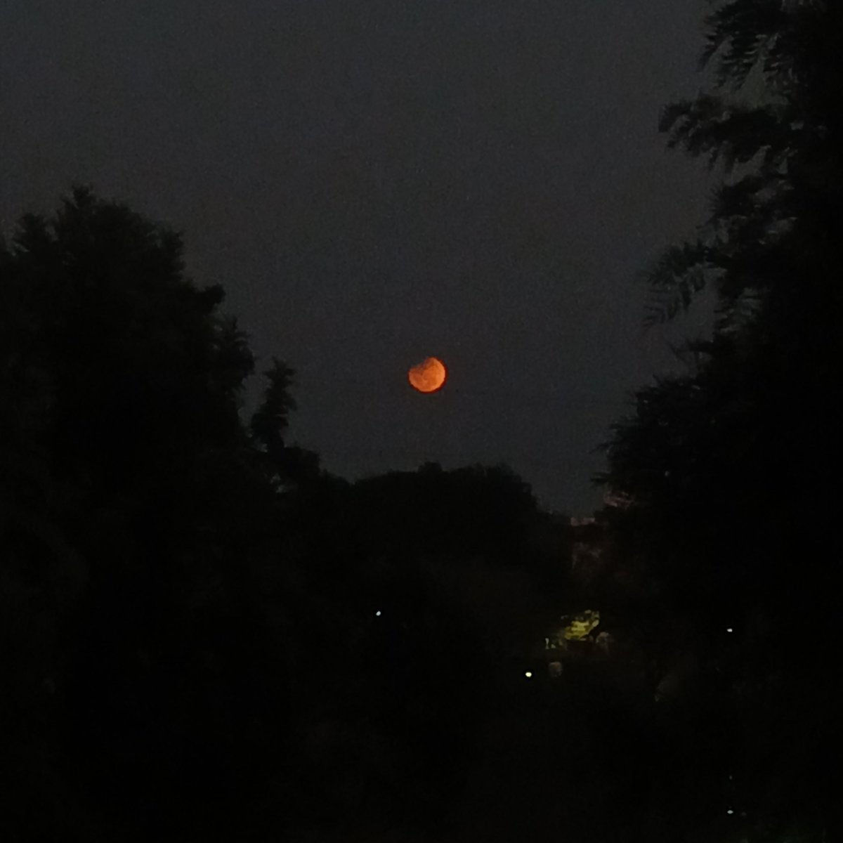 Pankaj Sethi tweet media