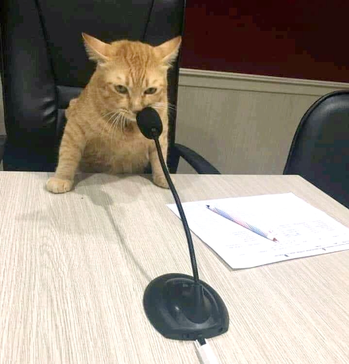 The U.N. Security Council would have been better off with this guy presiding.