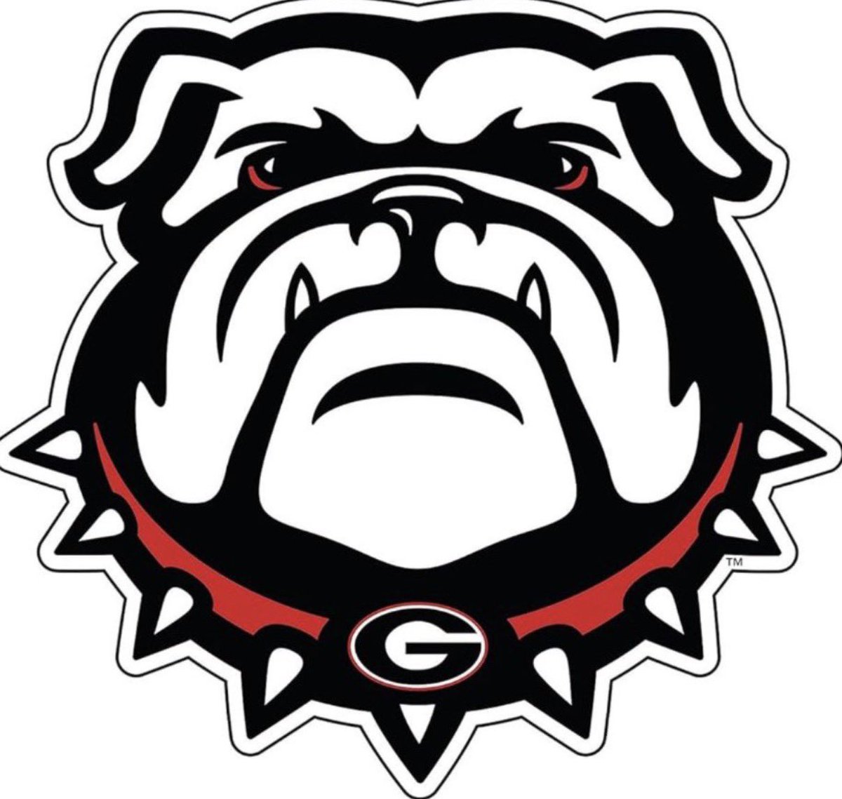 Liam schoenrock tweet media