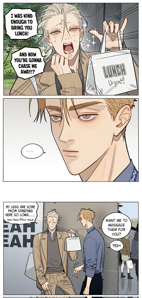 19days TR | 傲娇毛毛仔 | maomao 😼 tweet media