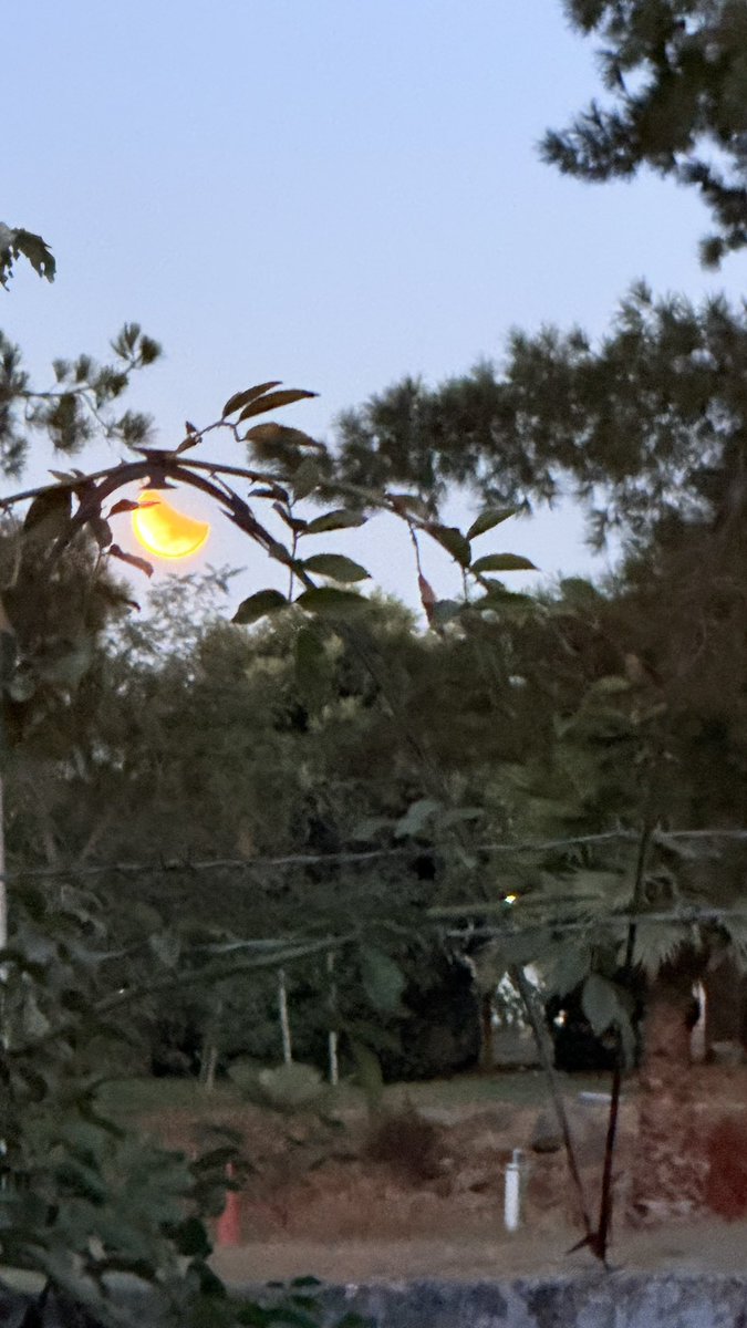 Logré captar un pedacito de eclipse , iba a levantarme a verlo y me quedé dormida 🤦🏻‍♀️