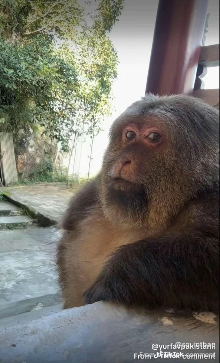 You're not wrong there.