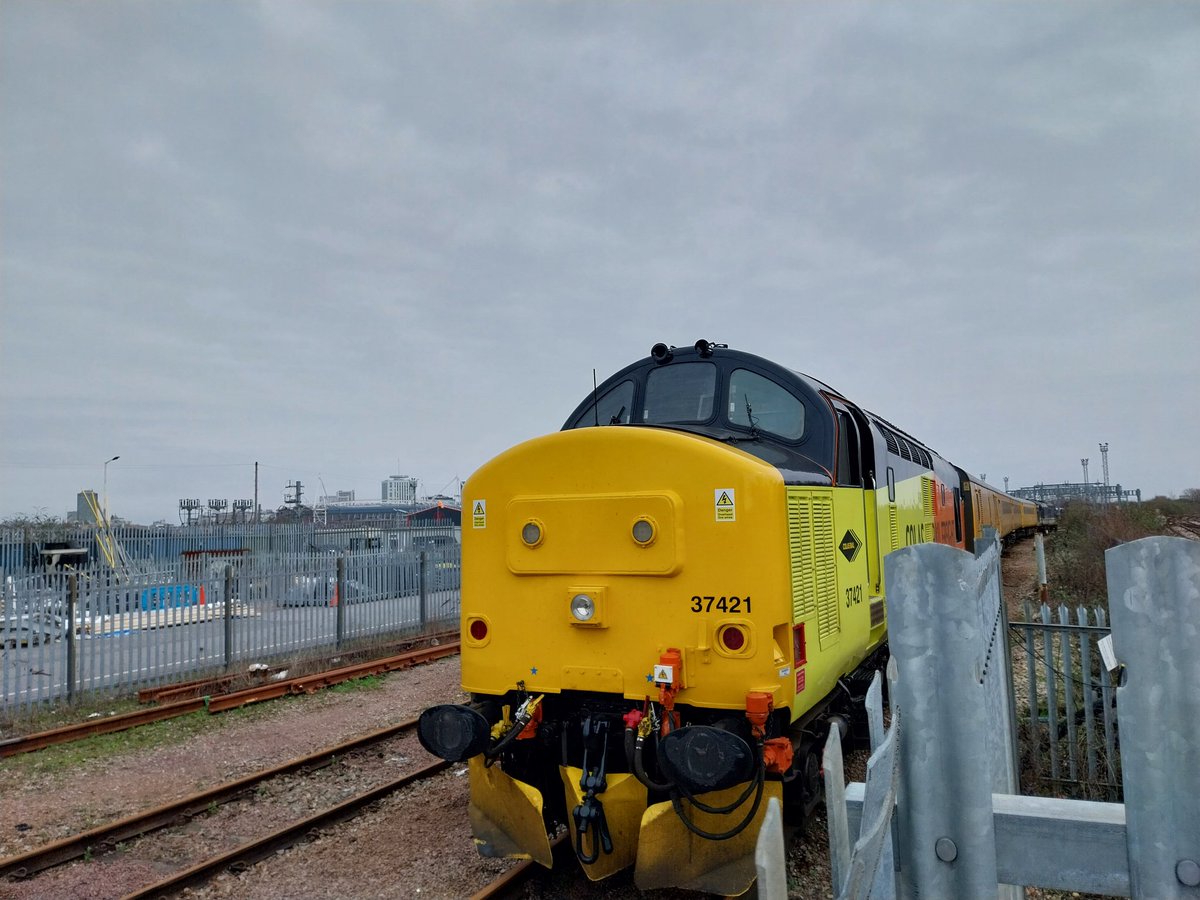 NotYOLOSmh 🏳️🌈 tweet media