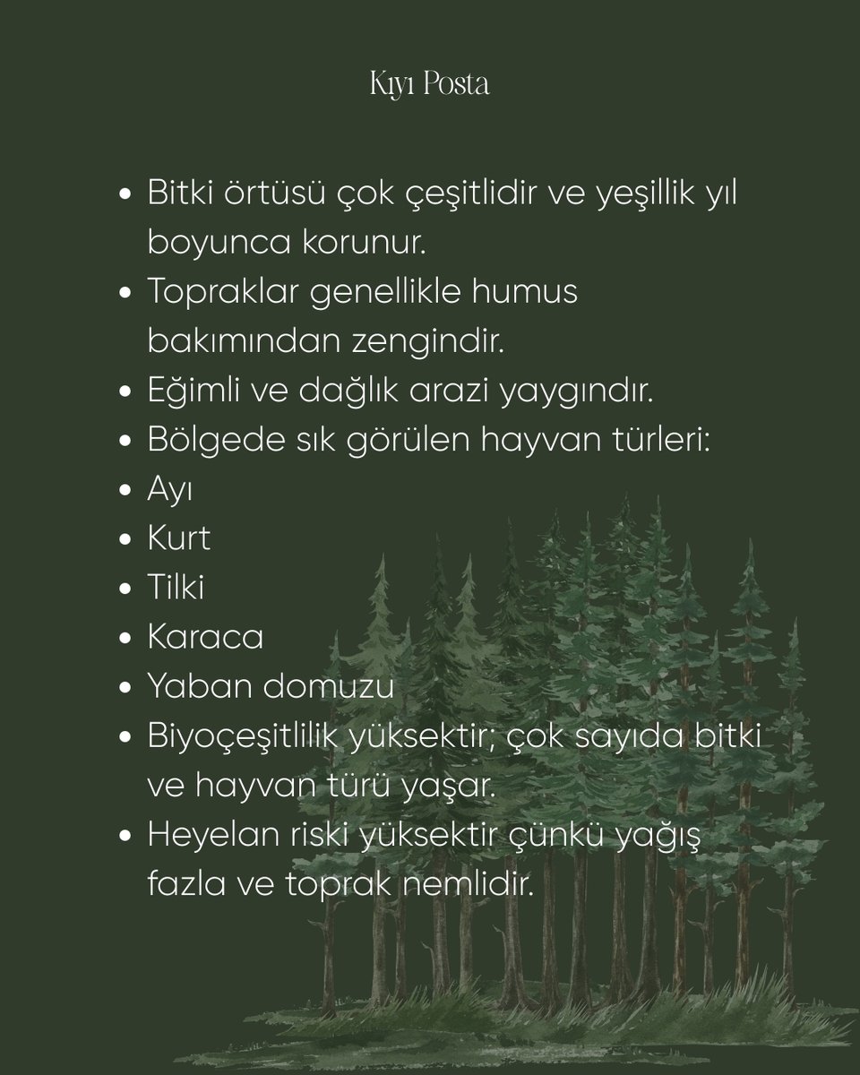 Karadeniz sadece bir kıyı değil — içinde ayı 🐻, kurt, karaca barındıran canlı bir ekosistem! Yoğun ormanlar, nemli iklim ve zengin topraklar bu bölgeyi Türkiye'nin biyoçeşitlilik kalbi yapıyor. 🌿🏔️ #Karadeniz #Doğa