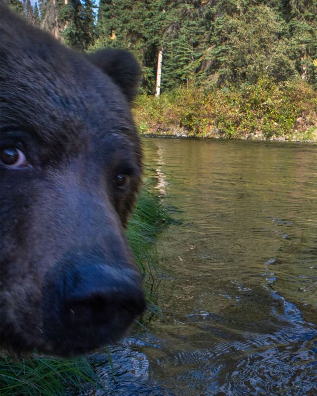 UmCaraSimples tweet media