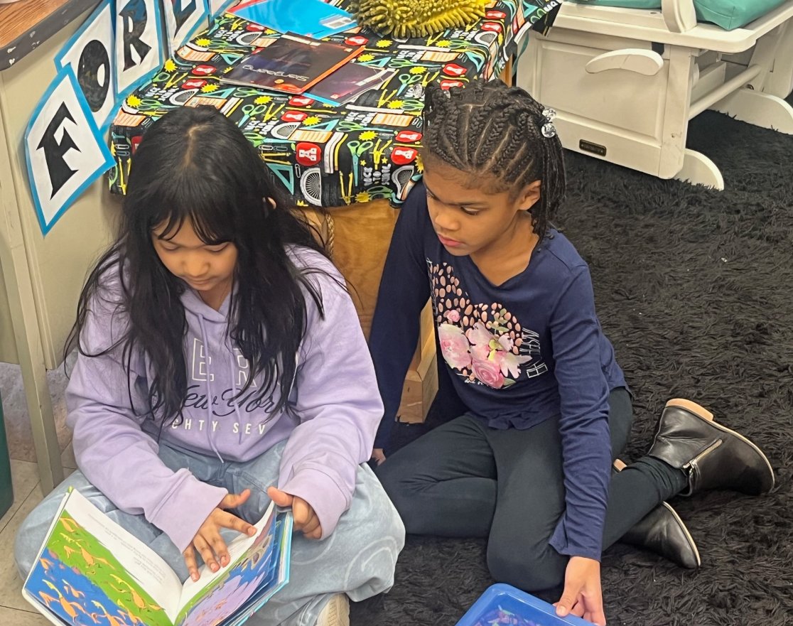 Foxford🦊 tweet media