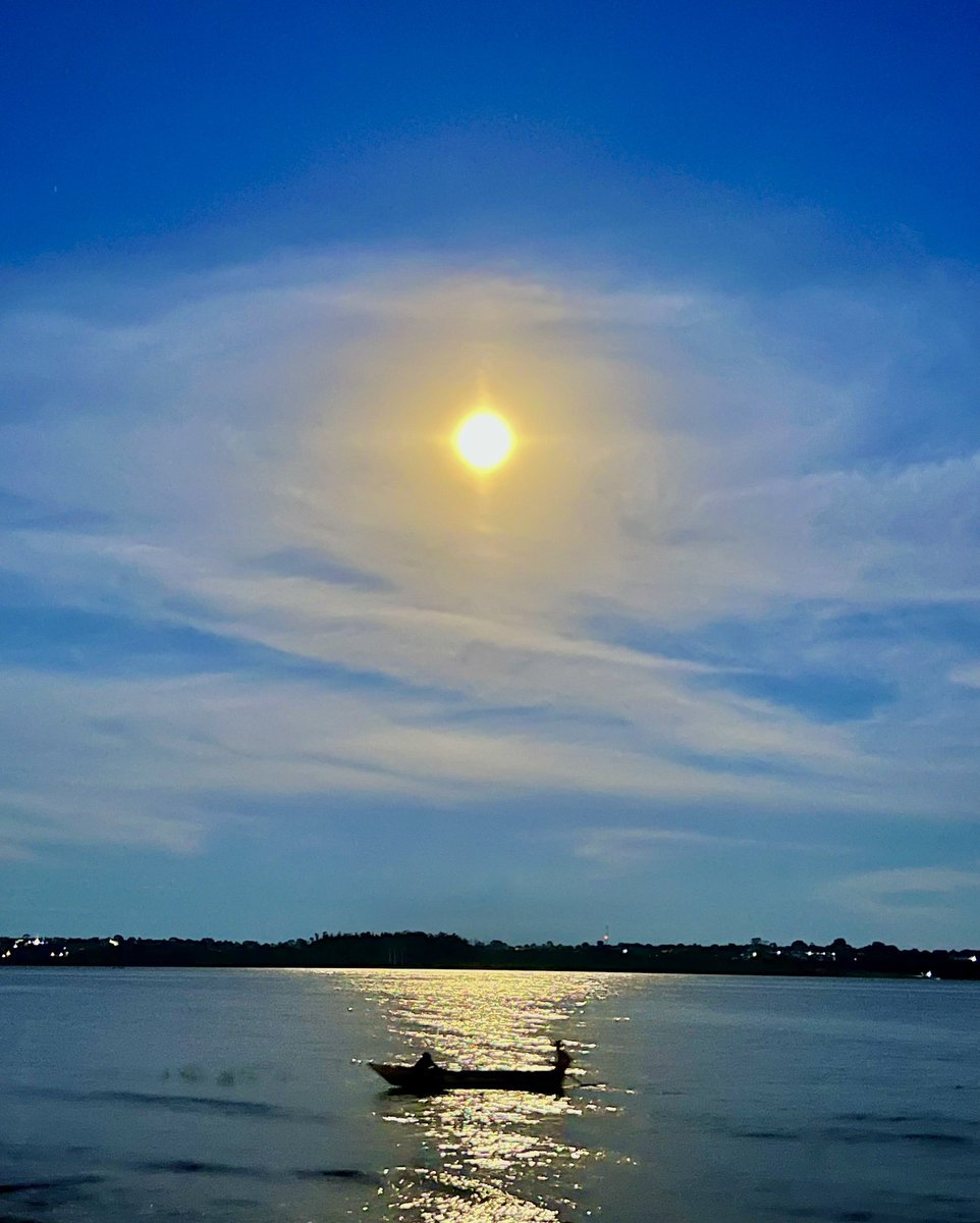 Timothy Obua tweet media