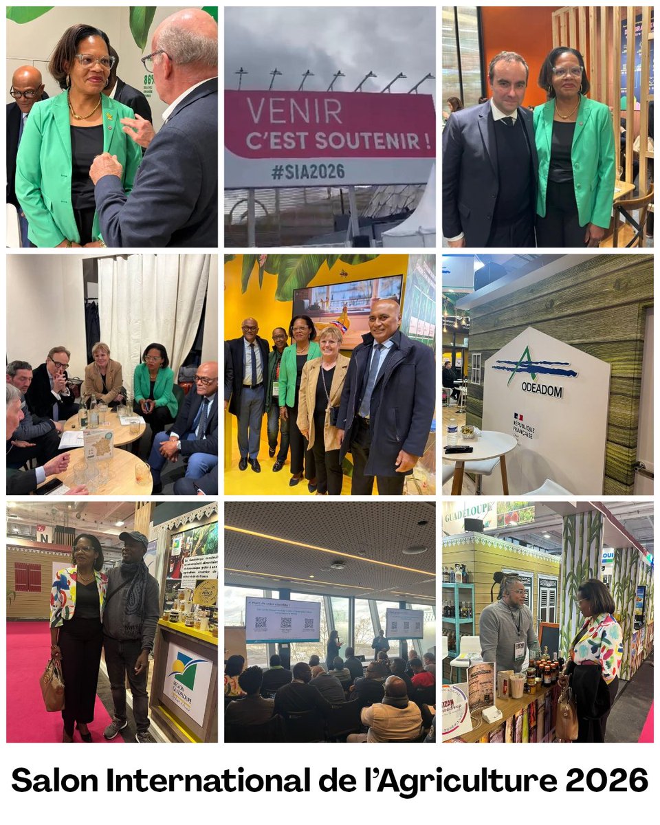 Solanges Nadille tweet media