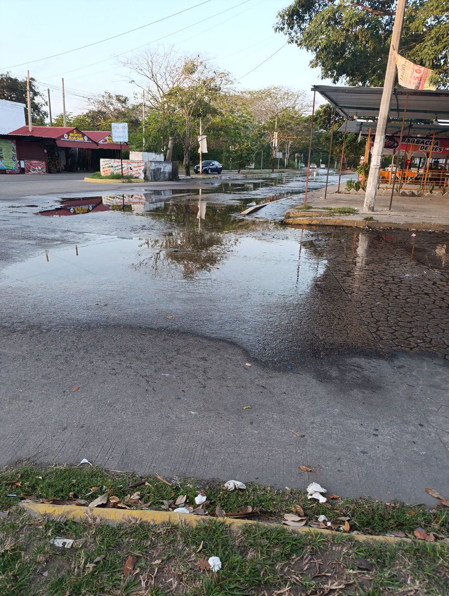 XEVATabasco's tweet photo. 🗣️ #DenunciaVA | Vecinos de #Pomoca reportan fuga de agua potable desde Av. del Jaguar hasta Av. del Sureste, cerca del hospital, que lleva más de 10 días.
👉 Señalan que hay problemas similares en otras calles y piden #atención urgente de las autoridades.
#XEVA #Noticias #Radio #Tabasco