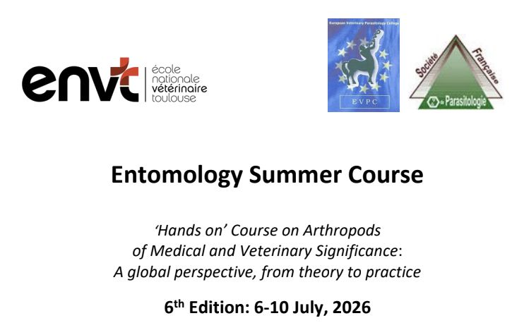 European SOVE Early-Career Professionals tweet media