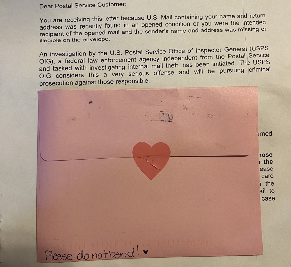 ꒰ა angel bunny ໒꒱ tweet media