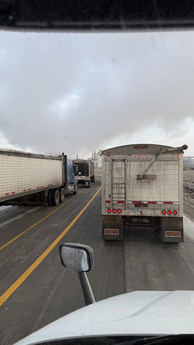 Matthew Krueger tweet media