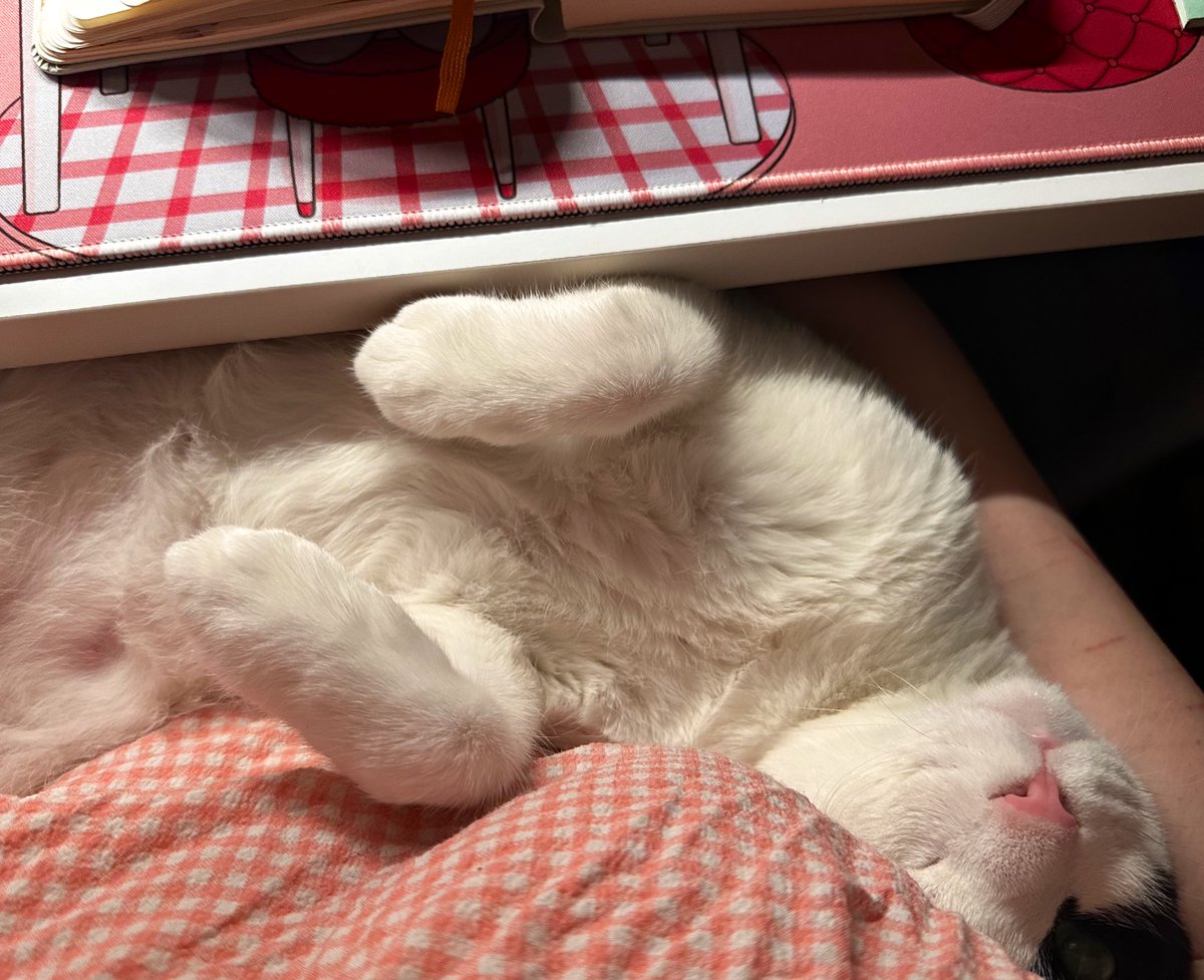 dead_assistant's tweet photo. 일기쓰다가 자해하거나 울고있으면
후다닥 달려와서 나안아를 시전함 https://t.co/MysFcLhloQ