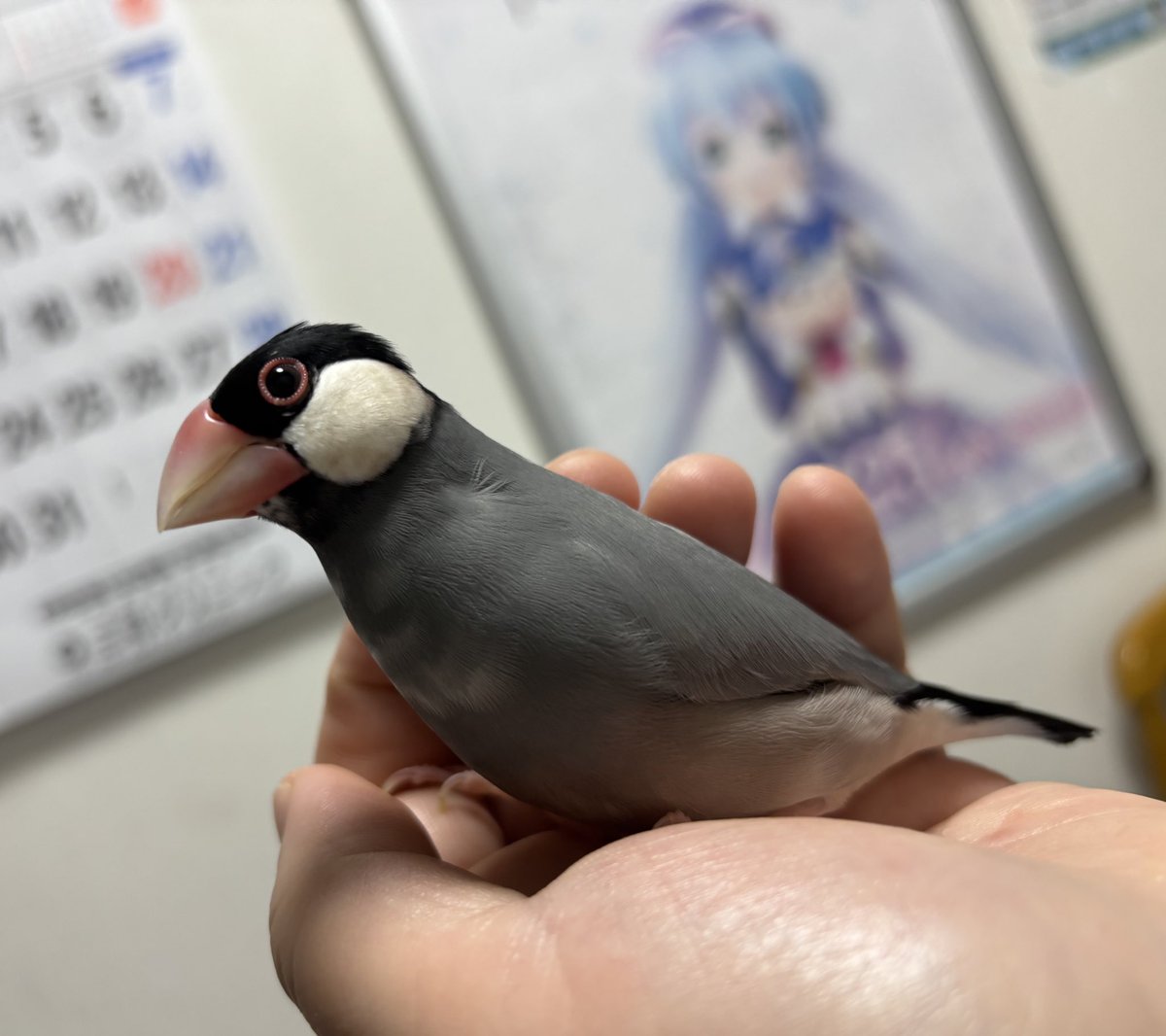 ムラハチ (@LAYZNER_V_MAX) / Posts / X