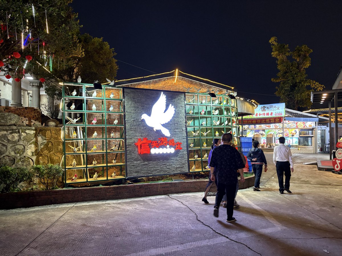Supra_Mark5's tweet photo. 中国の東莞にやってきました。鳩を食べる文化のため、鳩料理屋へ😭
あんまり食べるとこないと思うけど。。
私は海老や他の料理を中心にリクエストしました。 https://t.co/XAiGHvaocZ