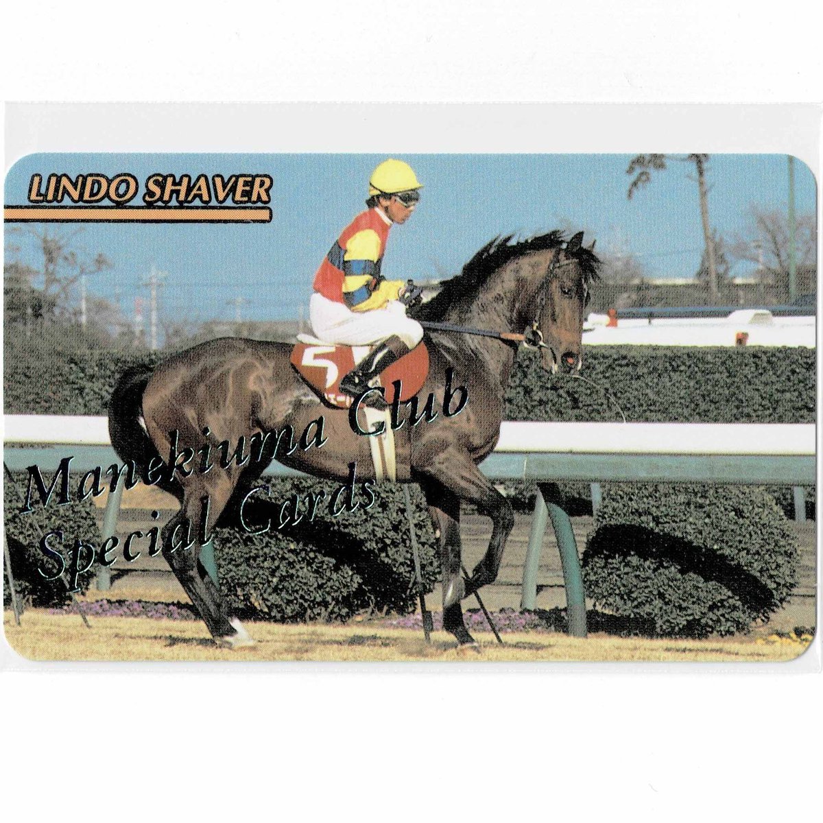 まねき馬倶楽部 No.208 #リンドシェーバー #的場均 レインボーカード