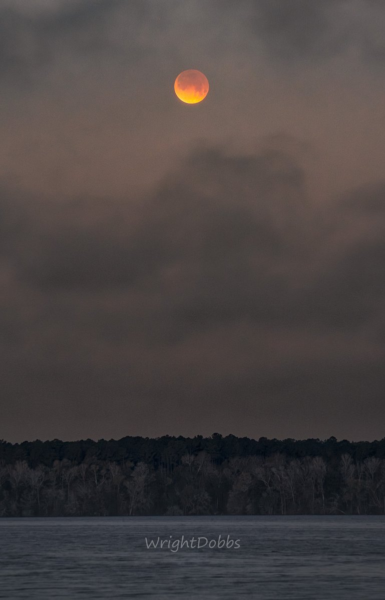 Wright Dobbs tweet media