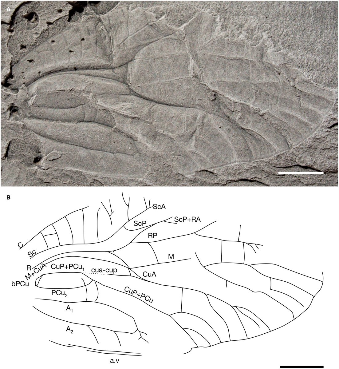 Robin Ninon tweet media
