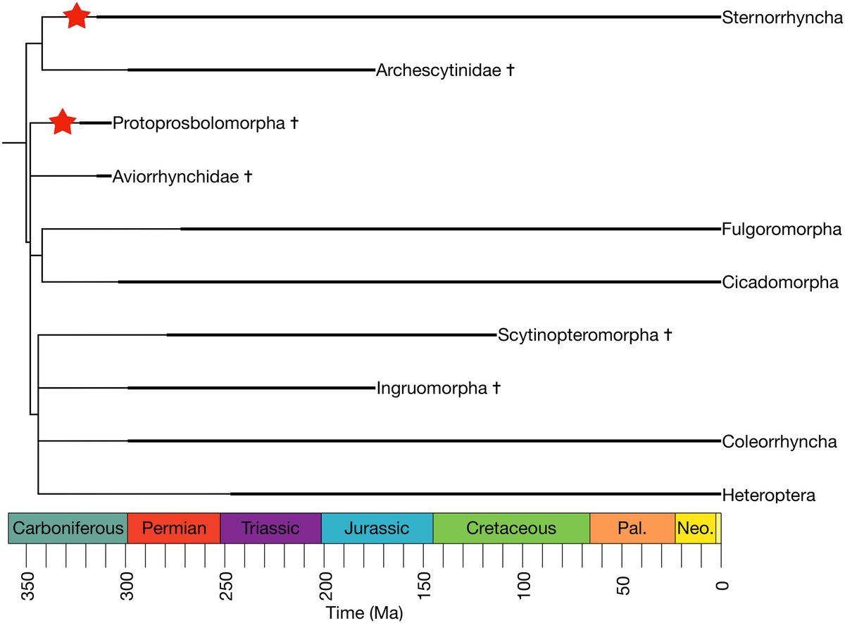 Robin Ninon tweet media