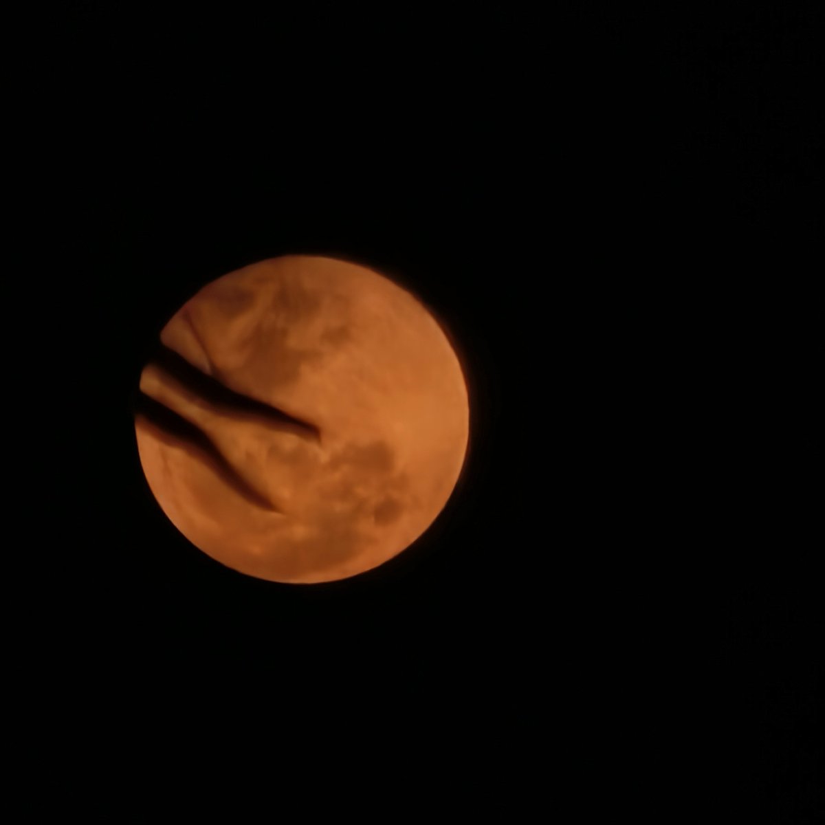 TechWhirl Ultimate tweet media