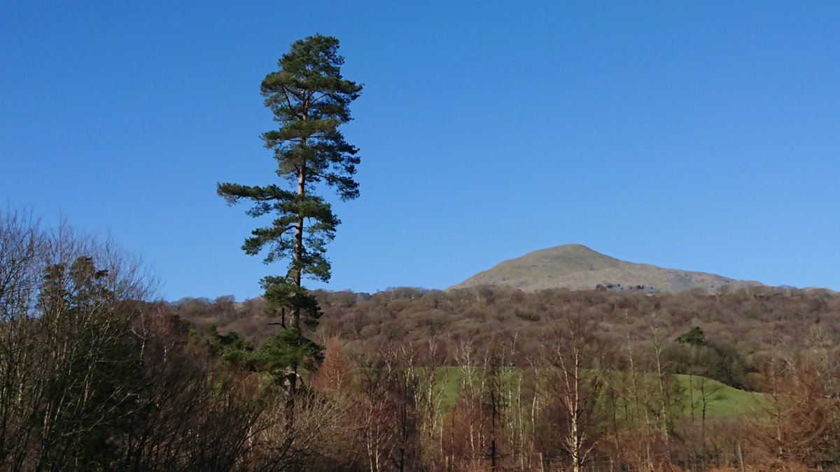 Dr Janet Lees tweet media