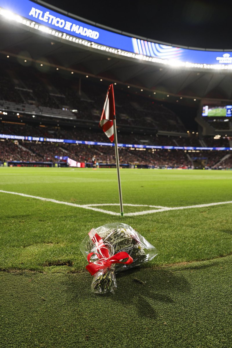 Emerrede ✨ tweet media