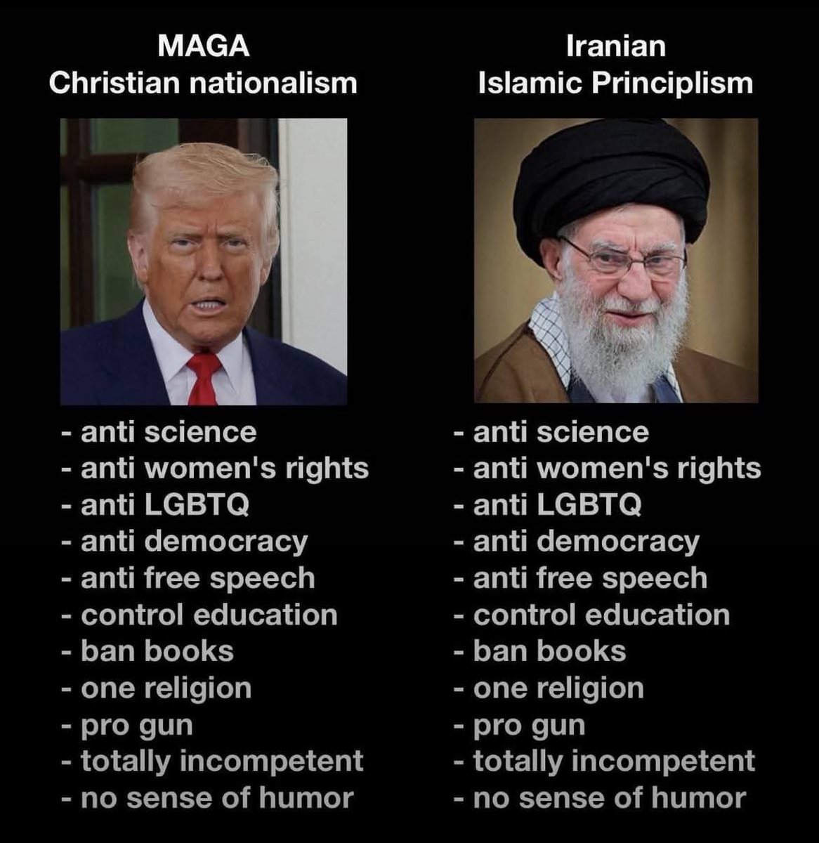 Different methods, same results #Iran #IranIsraelWar #TrumpEpsteinCoverUp 
#TrumpisaNationalDisgrace #