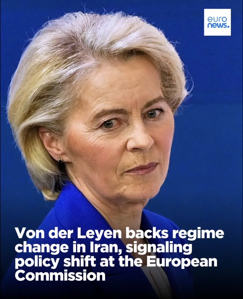 Sophie L. Vériter tweet media