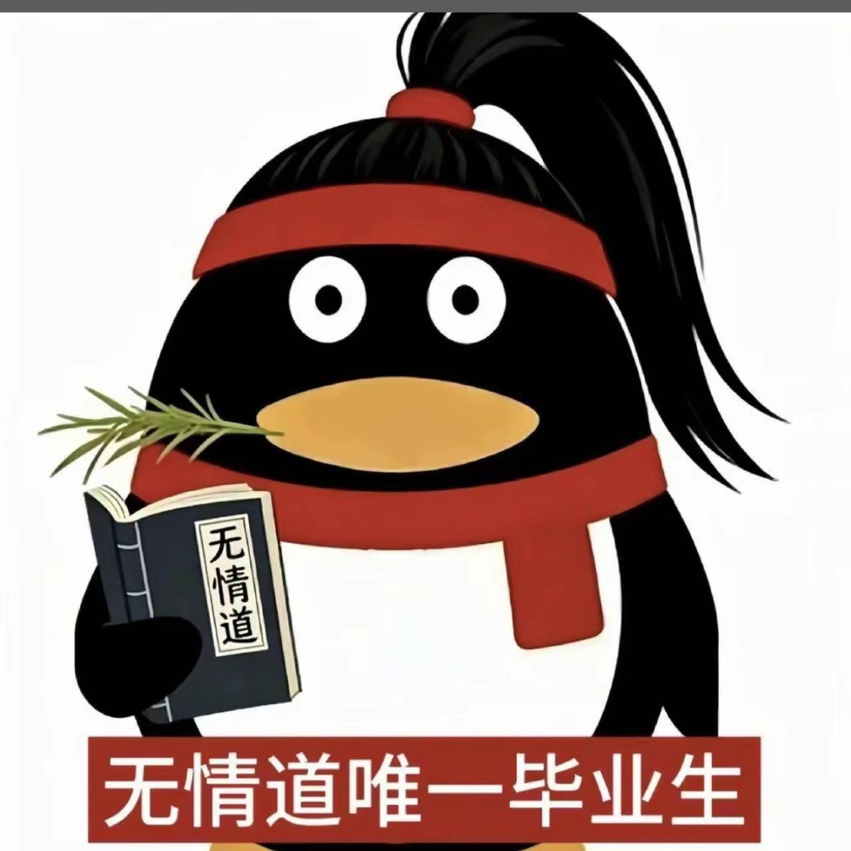 Bird tweet media