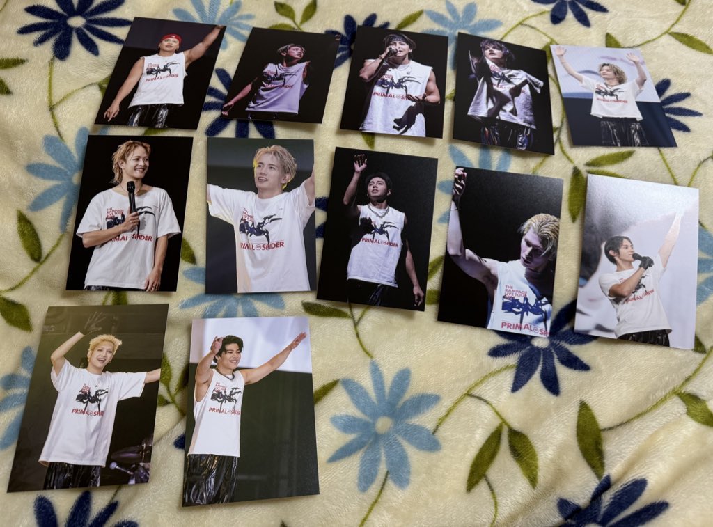 PRIMAL SPIDER 巡らせる糸 プラスパ ポストカード32種セット交換