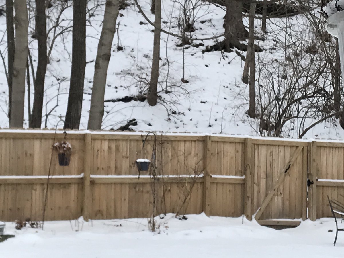 randy clark tweet media