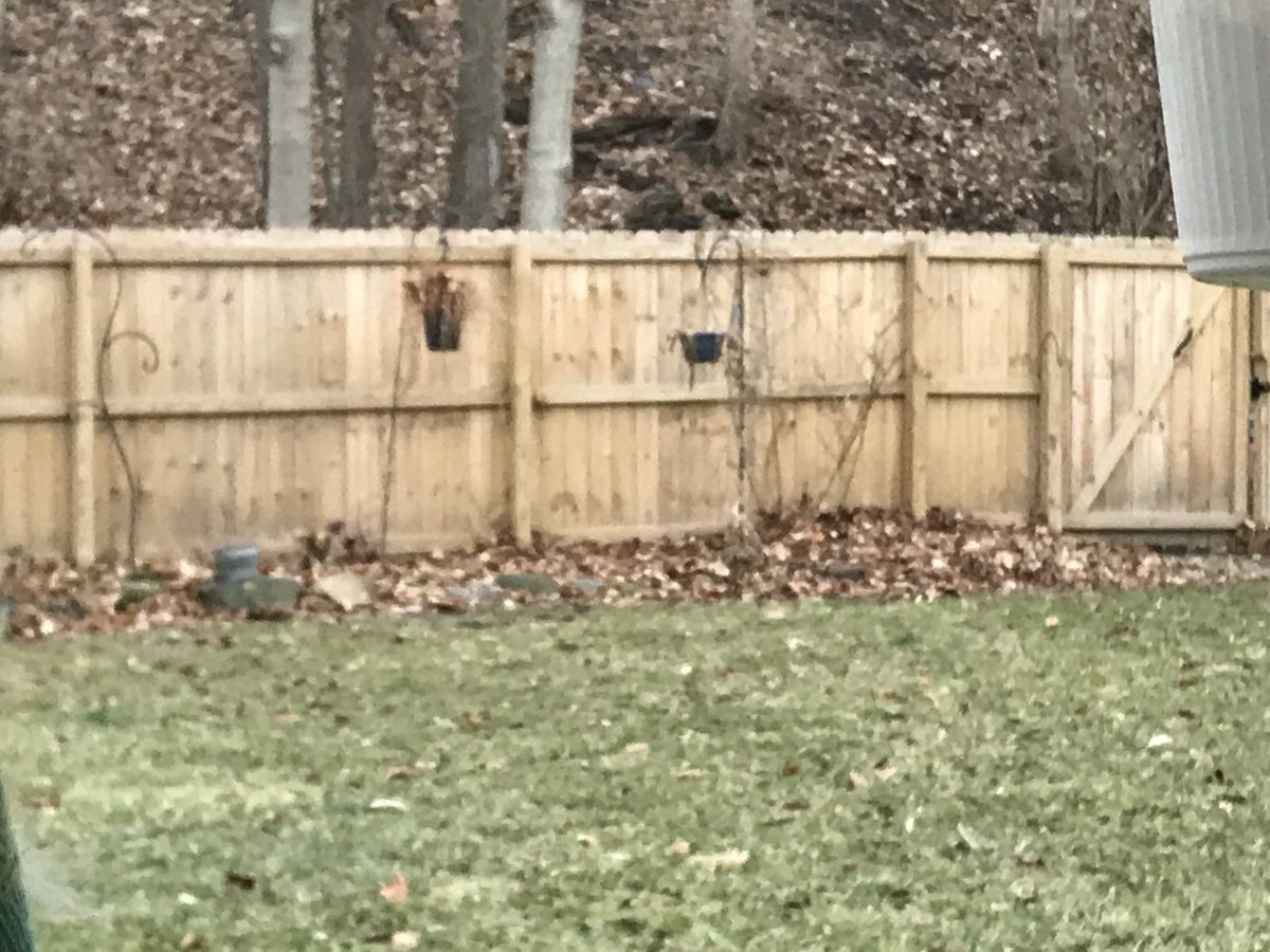 randy clark tweet media