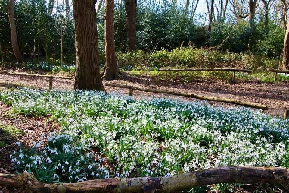 Fup Boon tweet media