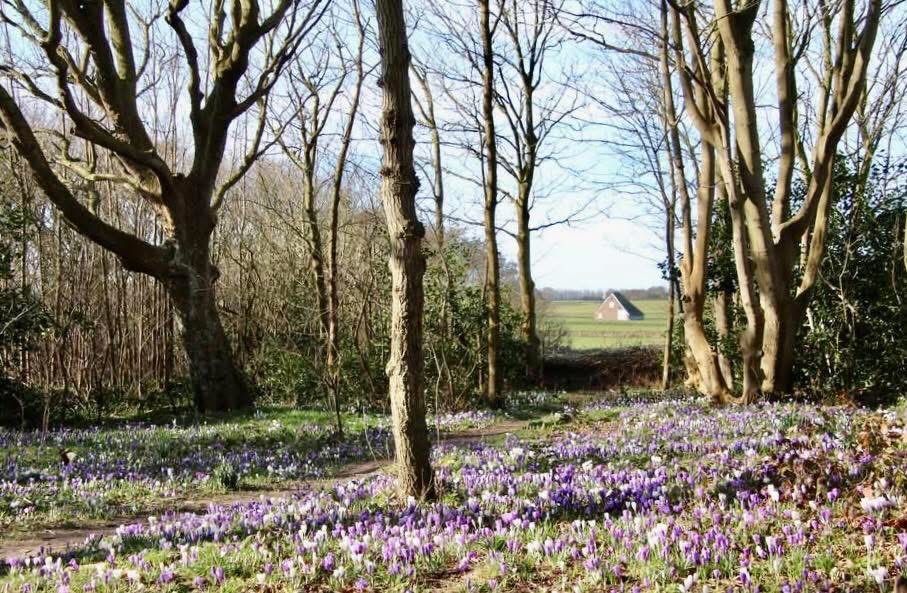 Fup Boon tweet media