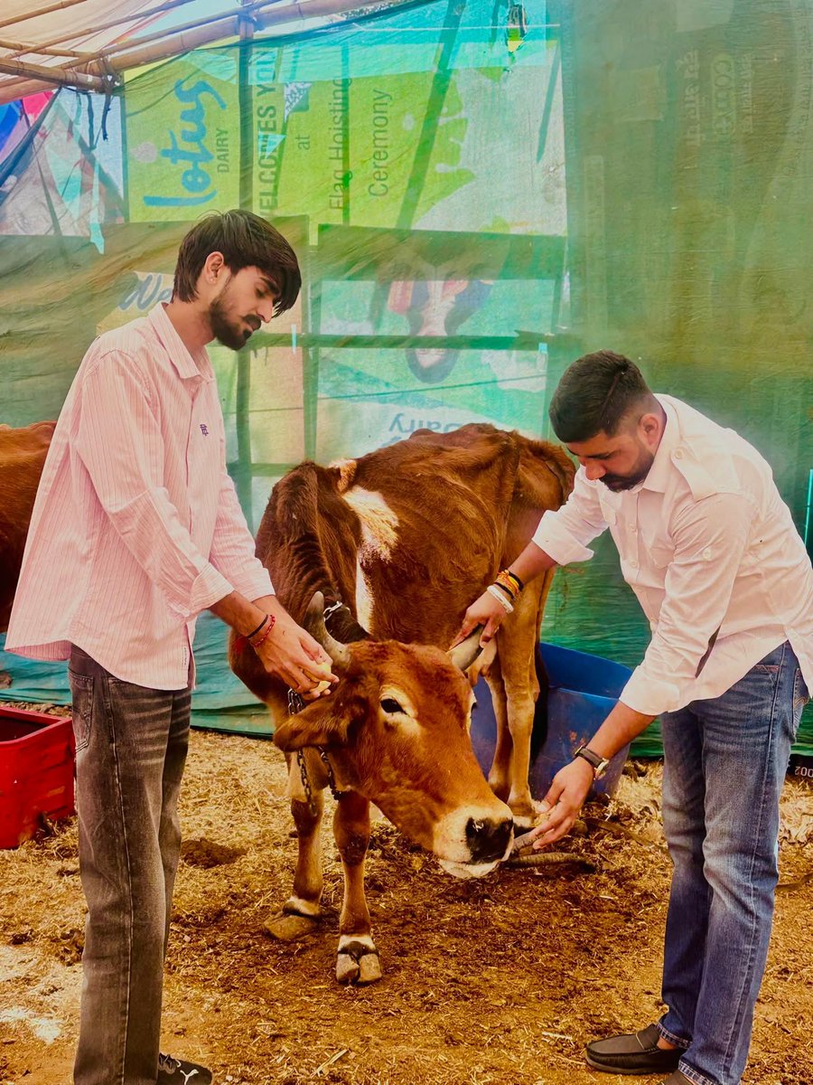 ManishCharanRu's tweet photo. आज जन्मदिवस के पावन अवसर पर गौशाला में पहुंचकर “गौ माता” को गुड़ खिलाकर उनका आशीर्वाद प्राप्त किया। सेवा और श्रद्धा के साथ जीवन के नए वर्ष की सकारात्मक शुरुआत की।”

“गौ सेवा केवल आस्था नहीं, बल्कि भारतीय सभ्यता और मूल्यों के संरक्षण का प्रतीक है।”
#gomata #goshala #gauseva https://t.co/klJh9F0eCP