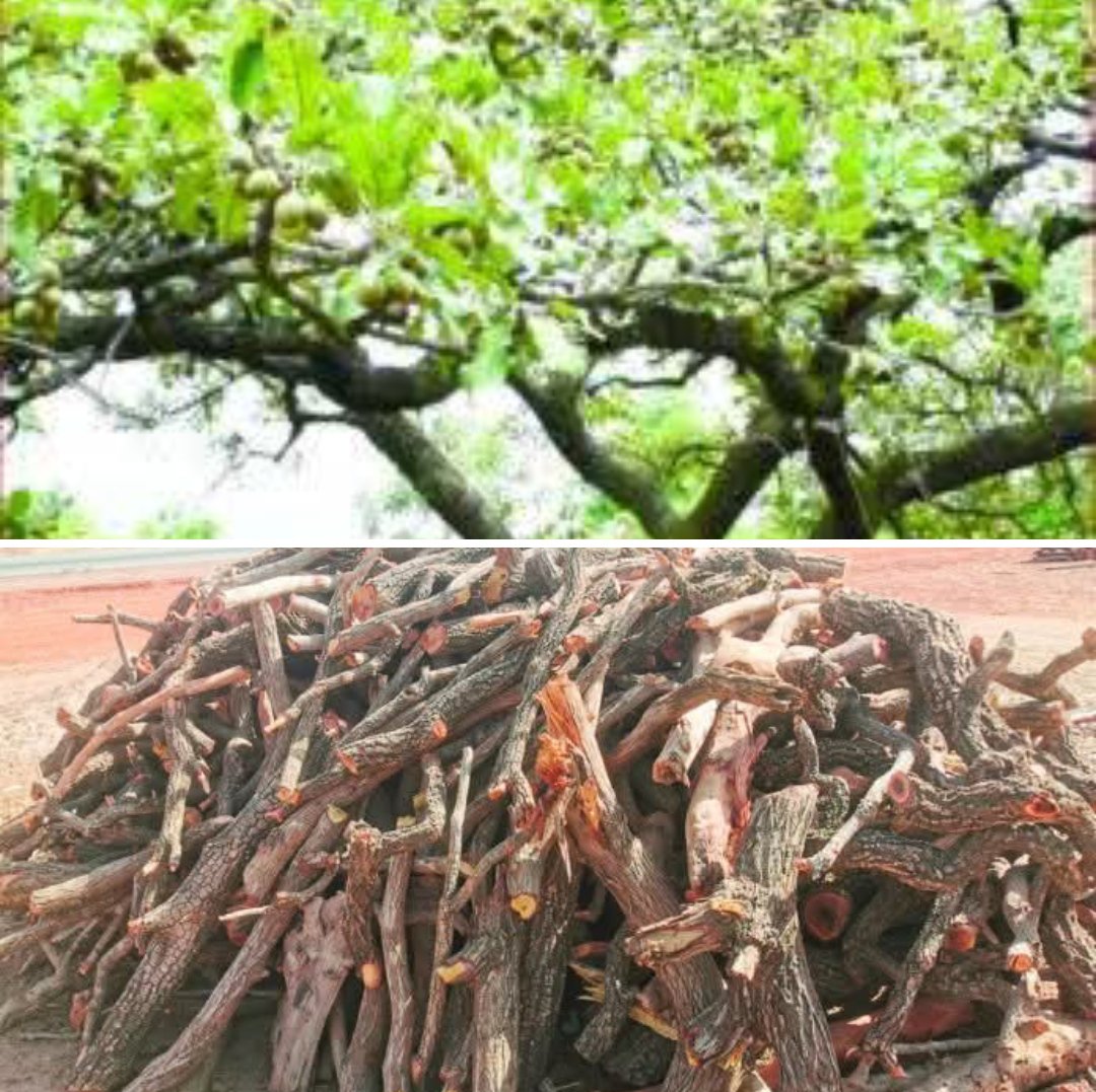 Editions SIDWAYA tweet media