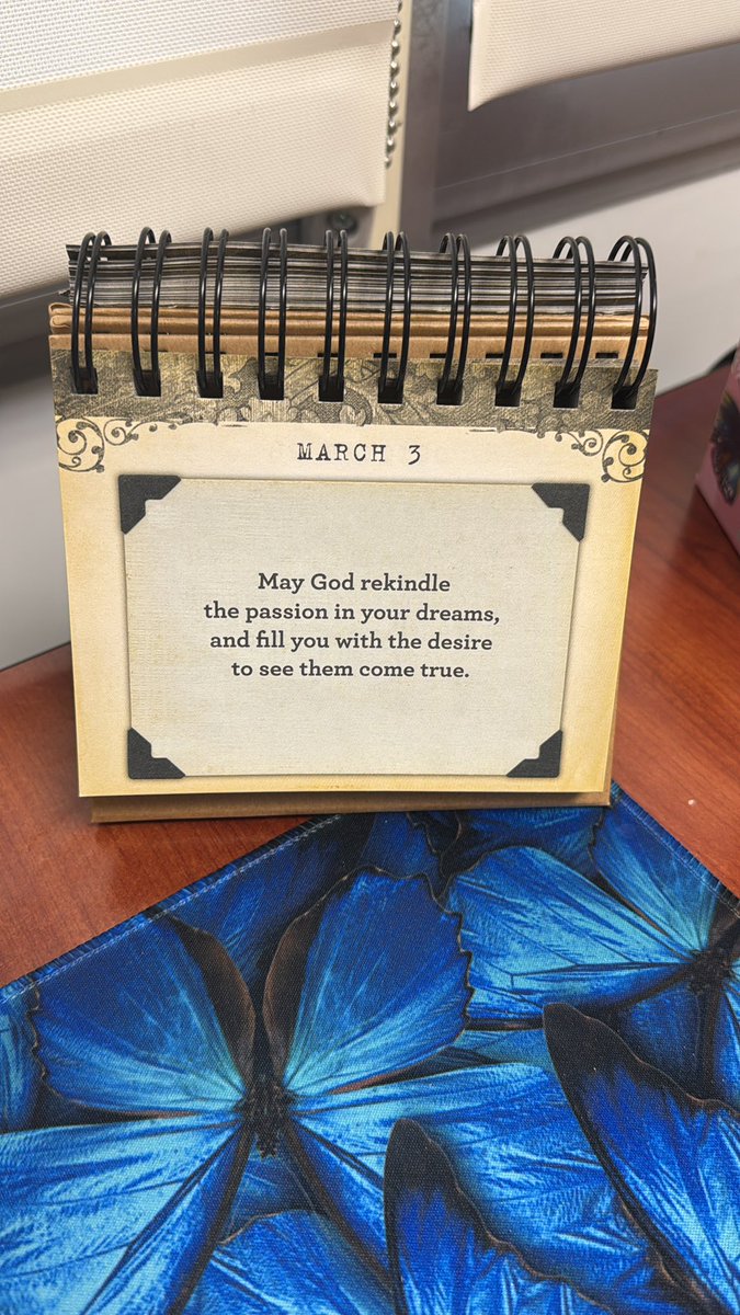 Ms.Alaura Mack M.Ed tweet media