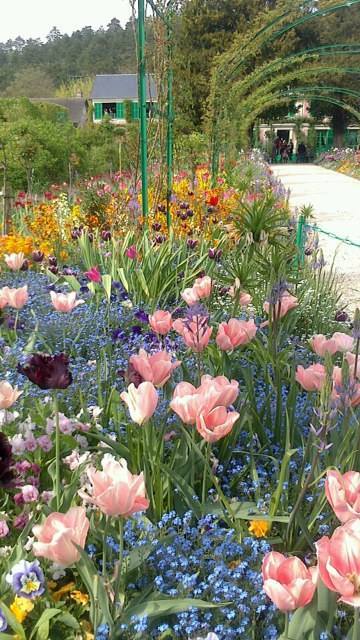 MyBus フランス【公式】 tweet media