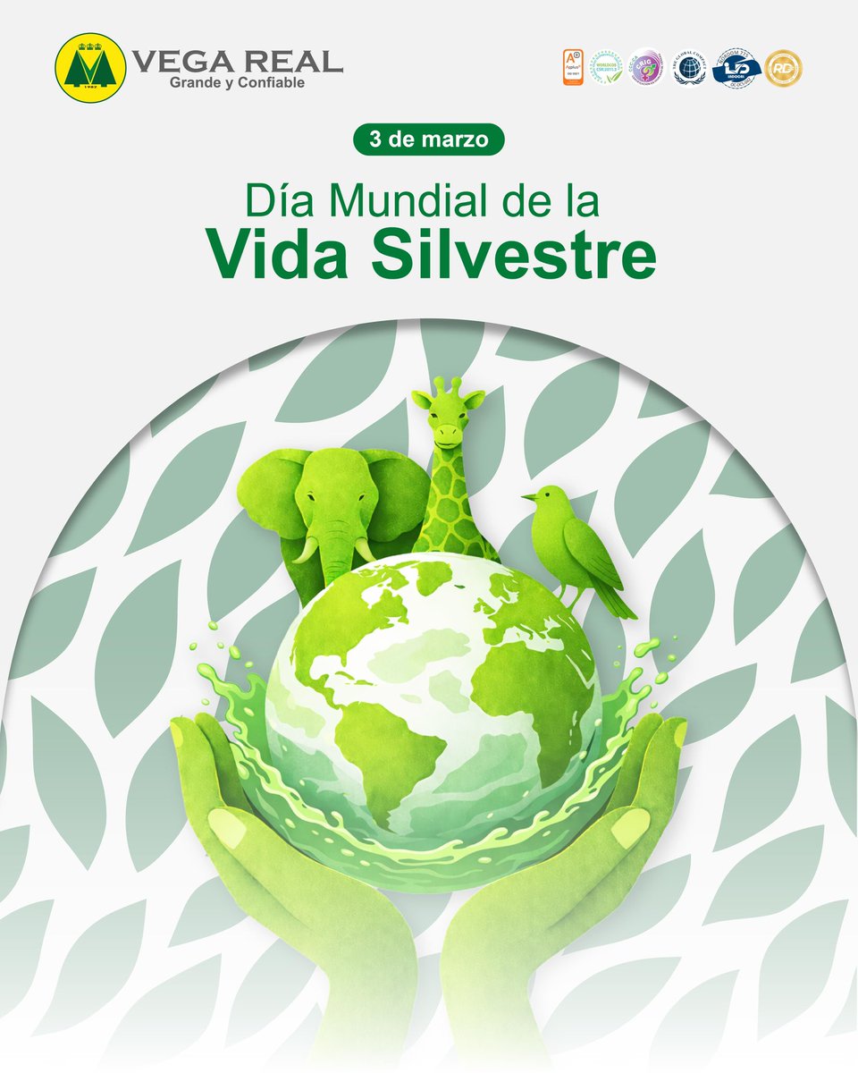 En el Día Mundial de la Vida Silvestre, Vega Real ratifica su compromiso misional de proteger la biodiversidad y los ecosistemas del planeta, promoviendo las buenas prácticas que ayudan a conservar y preservar el equilibrio de la naturaleza. 🌱🦜

#VegaReal #VidaSilvestre
