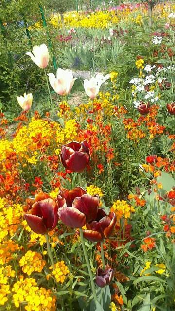 MyBus フランス【公式】 tweet media