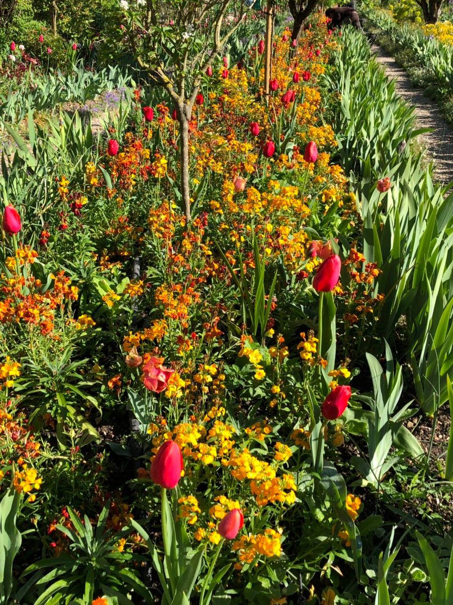 MyBus フランス【公式】 tweet media