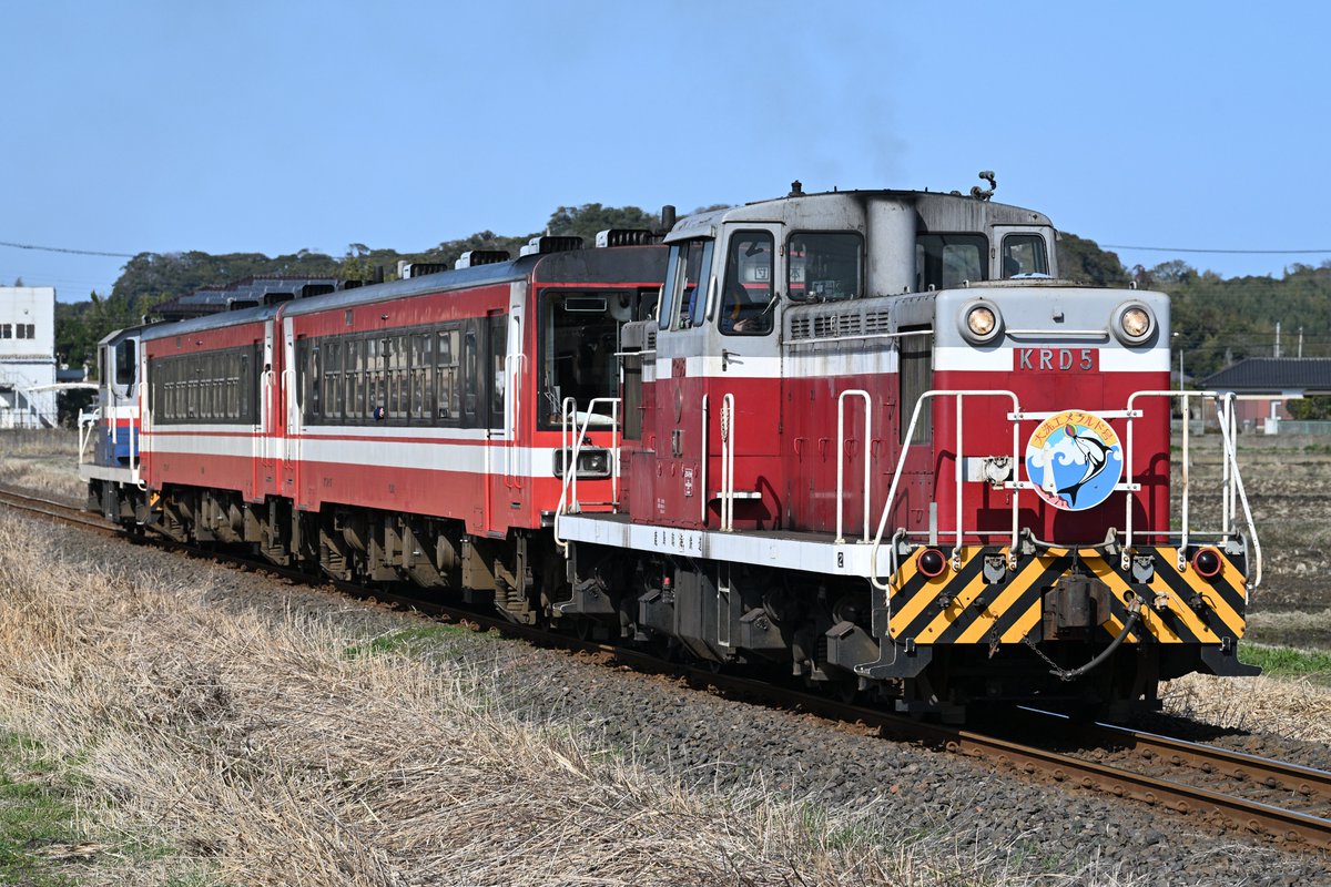 2026/3/1
鹿島臨海鉄道鹿島臨港線
DL急行大洗エメラルド号
色々悩みましたが、初見の組成でしたので無難に。お会いした皆さまお疲れ様でした