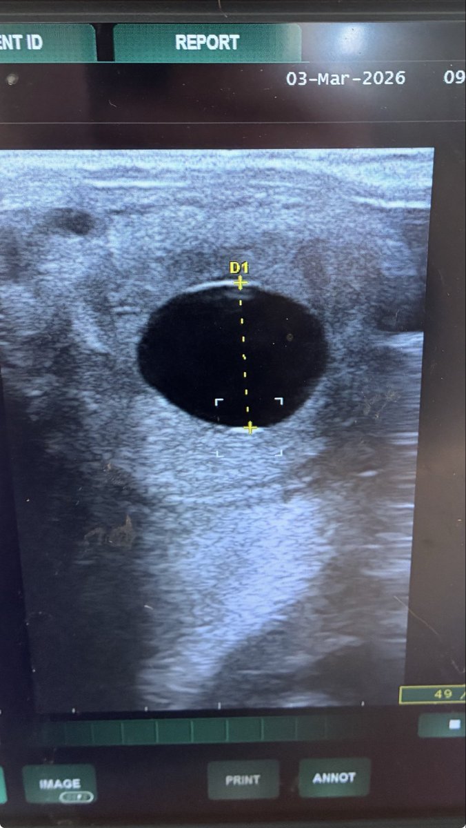 Brookside Stud tweet media