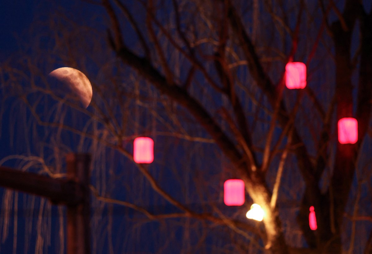 ปรากฏการณ์ พระจันทร์สีเลือด (Blood Moon) เหนือศาลาว่านชุน บนยอดเขาจิงซาน ระหว่างเกิดจันทรุปราคาเต็มดวง ณ กรุงปักกิ่ง เมื่อวันที่ 3 มีนาคม
.
ภาพจาก รอยเตอร์ 
#มติชนออนไลน์ #จันทรุปราคา