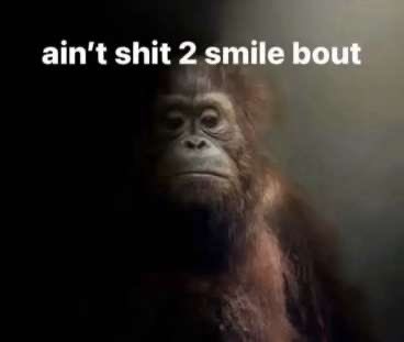 PAUL☦️🇺🇸 tweet media