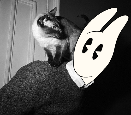 Hop Louie tweet media